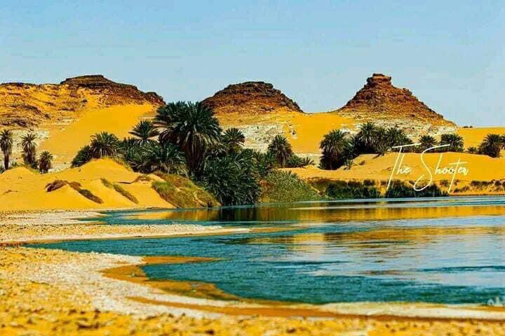 fierement_td235's tweet photo. Les meilleurs du Tchad 🇹🇩 : c’est adorable 🥰, c’est encore tchad 🇹🇩… visitez au moins une fois avant de mourir ❤️❤️❤️❤️… https://t.co/dPTghNXGgZ