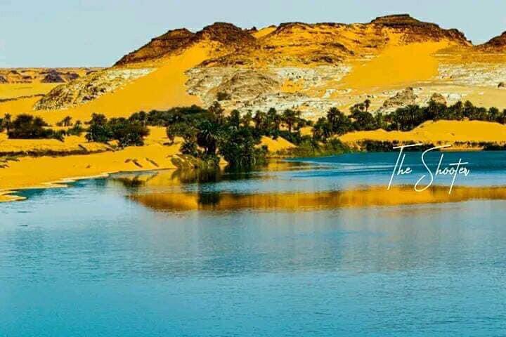 fierement_td235's tweet photo. Les meilleurs du Tchad 🇹🇩 : c’est adorable 🥰, c’est encore tchad 🇹🇩… visitez au moins une fois avant de mourir ❤️❤️❤️❤️… https://t.co/dPTghNXGgZ