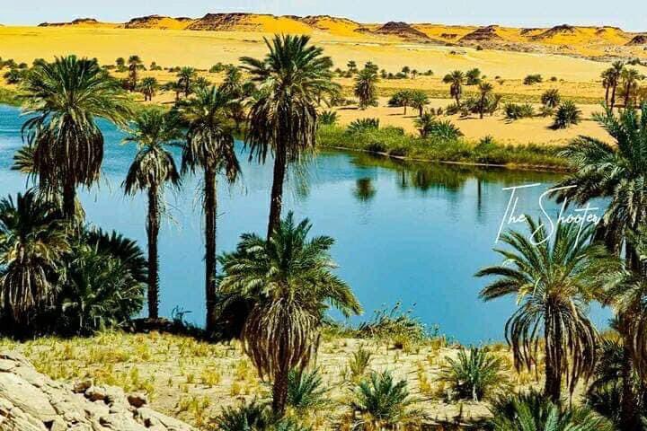 fierement_td235's tweet photo. Les meilleurs du Tchad 🇹🇩 : c’est adorable 🥰, c’est encore tchad 🇹🇩… visitez au moins une fois avant de mourir ❤️❤️❤️❤️… https://t.co/dPTghNXGgZ