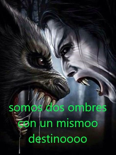 Cauquipotencia's tweet photo. https://t.co/Y1L80OCHre
