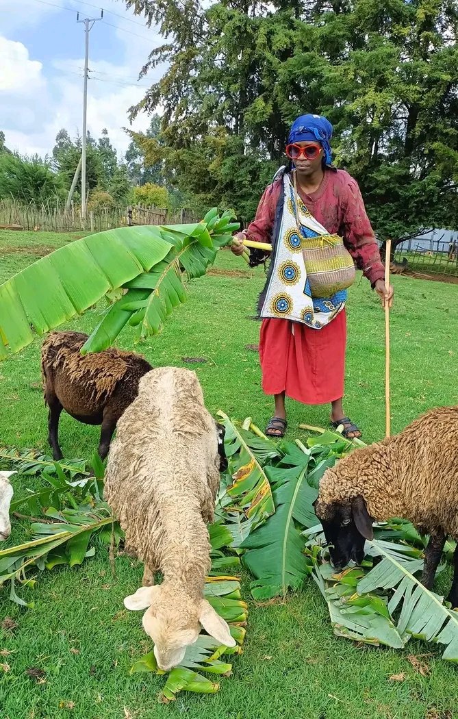DidmusWaBarasa's tweet photo. ...................Gogo, now we are ready,a team has been assembled expect services ...... https://t.co/sxMo94ENbV