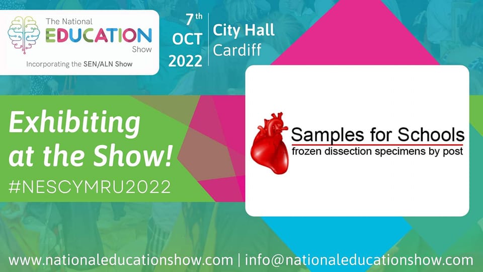 samples for schools (@samples4schools) on Twitter photo Come and visit us at <a href="/nationaledshow/">The National Education Show</a>
in Cardiff on the 7th of October 😀
samples-for-schools.co.uk Come and visit us at <a href="/nationaledshow/">The National Education Show</a>
in Cardiff on the 7th of October 😀
samples-for-schools.co.uk