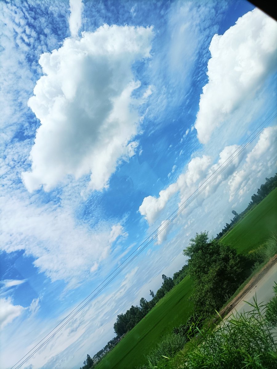 tippy_tapps's tweet image. ☁️