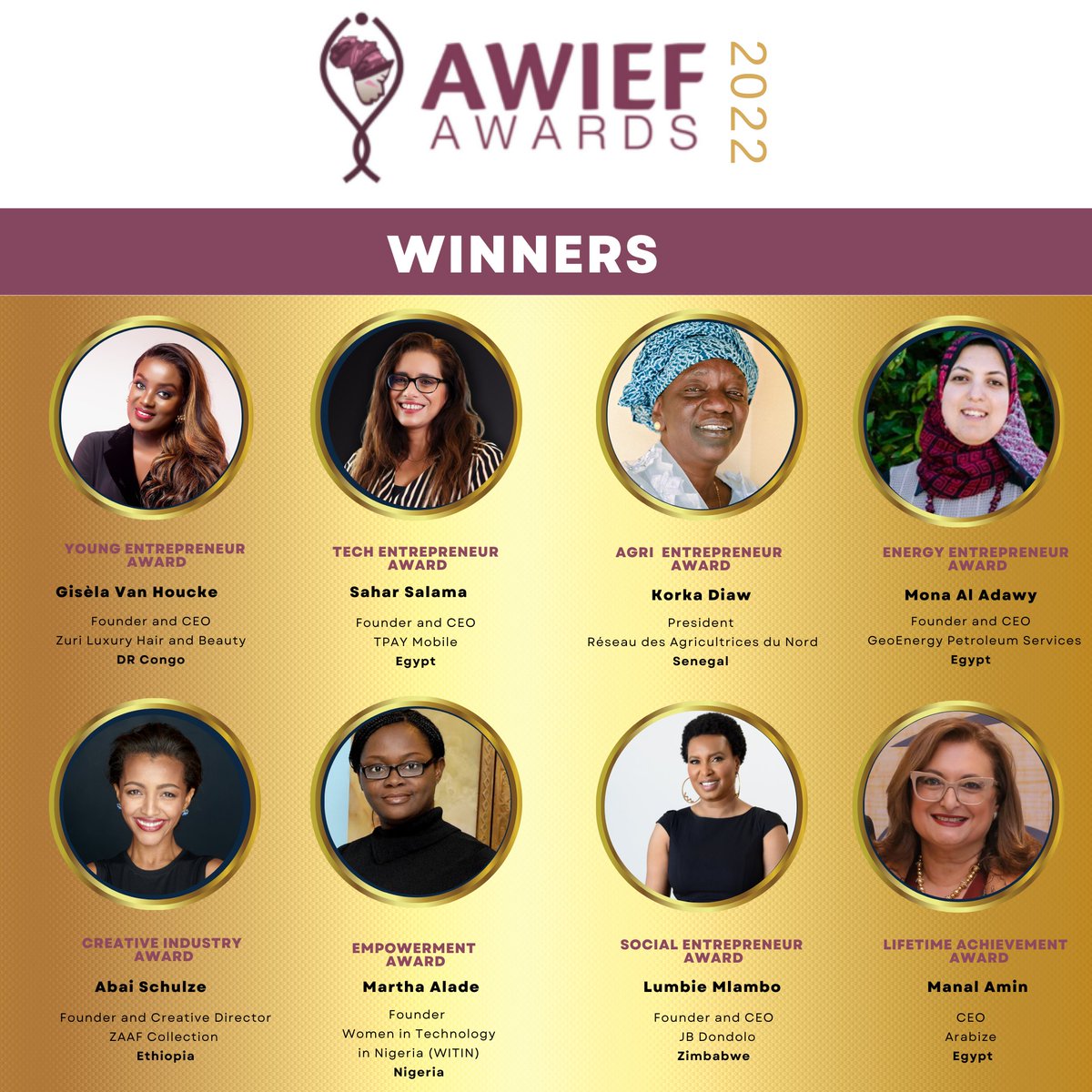 Congratulations to the winners of the 2020 #AWIEFAWARD winners! The winners were announced last night at a glittering ceremony on the rooftop of the Nile Ritz-Carlton Cairo. The awards capped the two-day #AWIEF2022 Conference which was held in North Africa for the first time!