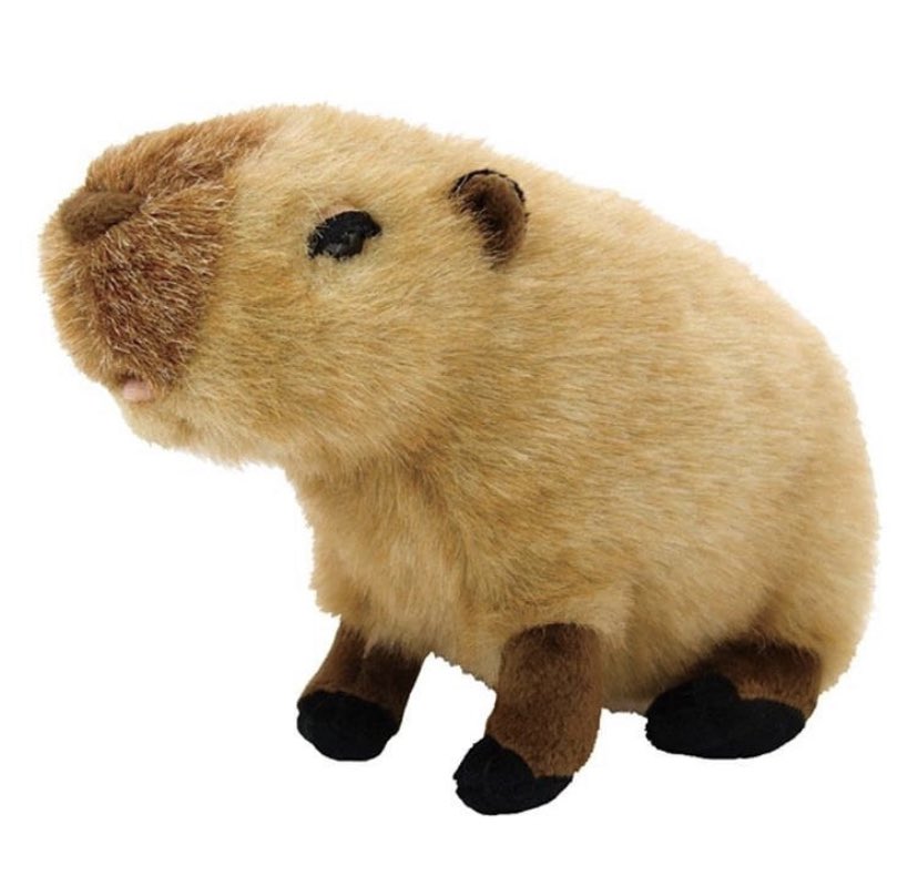 CapybaraGoddess's tweet photo. Aweee https://t.co/o00DfCMEmT