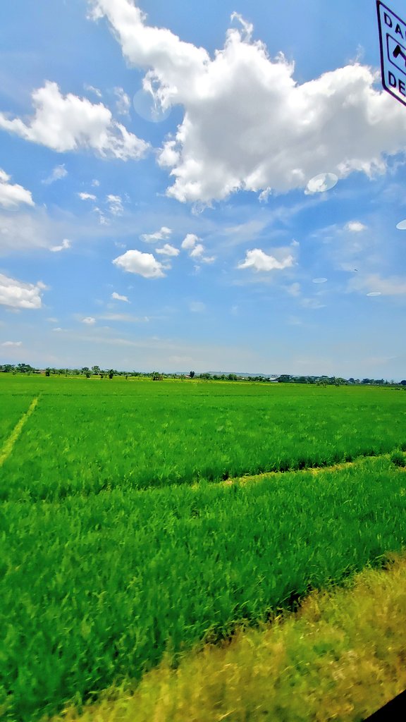 salmanbiroe's tweet photo. Kalau ke Jogja naik apa? Aku lebih suka naik kereta, salah satu keretanya Taksaka. Kebetulan kemaren dapet tiket murah di #KAIExpo 150 rb kelas eksekutif.
Selama perjalanan bisa makan di restorasi, makanan harganya 20-40rban. https://t.co/NA67ZA15WA