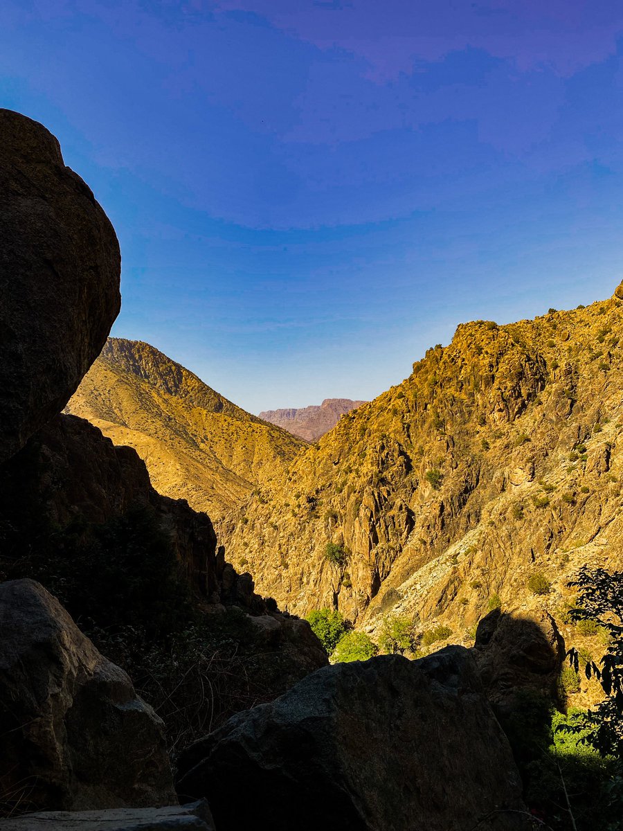 GM from the Atlas Mountains — 🫂🍊