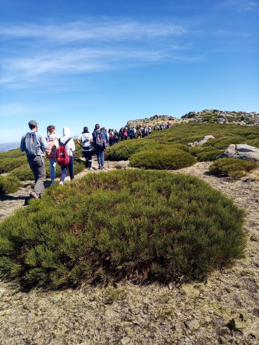ElDioce's tweet photo. Imágenes de la excursión de ayer con los alumnos de Primero de Bachillerato Peñón del Mediodía, en la Sierra de Gredos.
🏞🏞🏞
¡Un precioso día de convivencia que nunca olvidaremos!

¡Échale un vistazo a Ruta km. 6 al Peón del Mediodía en Relive! https://t.co/6EJ82o6VpO https://t.co/NHWfOEbgRl