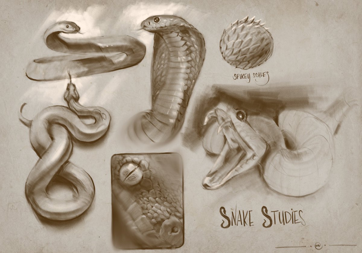 Dm7755's tweet photo. Some drawing studies to prepare myself for a next large project.
.
#artstudy #art #sketch #artoftheday #ipadproart #ipadproartist #drawing #drawingstudy #snakes #animalstudy #artstudiopro #artpractice #valuestudy #formstudy https://t.co/6zSbvSMyF5