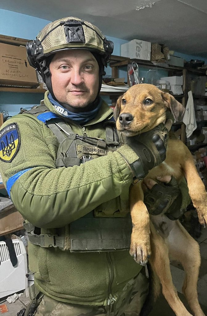 UkrARMY cats & dogs tweet media