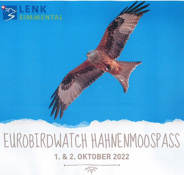 STMediaCH's tweet photo. Eurobirdwatch-Tag auf dem Hahnenmoos! 
Jedes Jahr im Herbst zieht es Vögel in den Süden!
Erleben Sie an am europäischen Zugvogeltag das Naturspektakel des Schmetterlings-und Vogelzugs, inkl. fachkundiger Begleitung!
@lenksimmental 
1.+2.10.22.
https://t.co/eY652wgaR5 https://t.co/YxZGjuWPYs