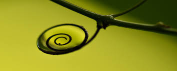 SALIMOSMAN6's tweet image. Apart from drugs and medical interventions, we should use different methods to relax our soul and mind. Some traumas in the human body cannot be removed with drugs and serums. #humanbody #differentmethods