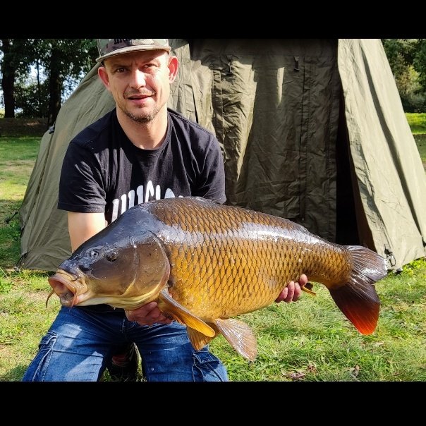 #NoweZdjecieProfilowe