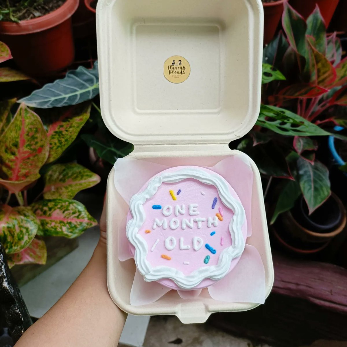 FlavoryBlends's tweet photo. Bento cakes for today's post ~ It makes me crave and order. 

Order yours ~ 

#flavoryblends✨ #minimalistdesign #minimalistcake #dedicationcake #bentocakeph #bentocakescavite https://t.co/WZhOD70b5b