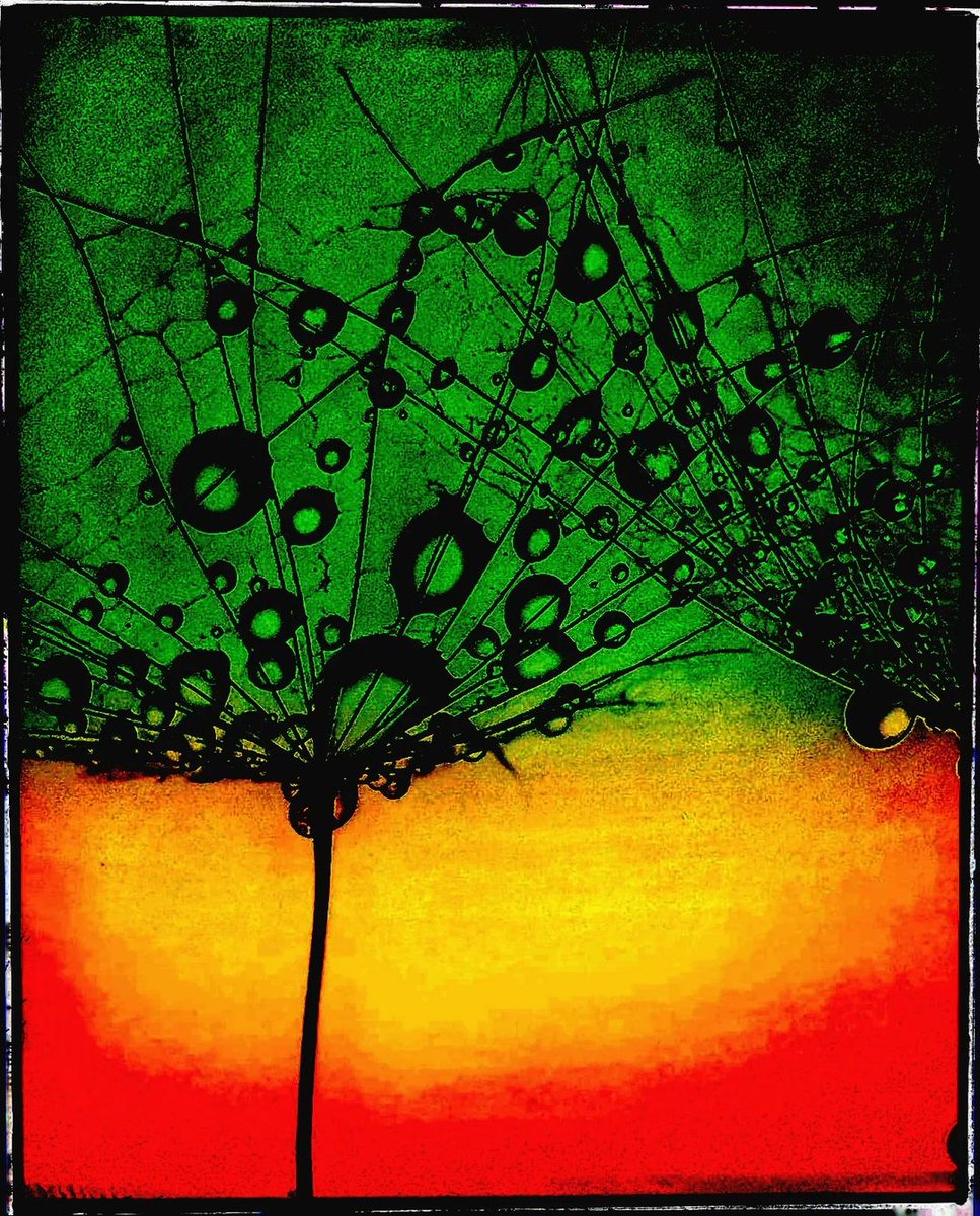 GratusArt's tweet photo. post by @dietzekb https://t.co/kjChrG4PpW
- dont forget to comment and leave your wallet adress to get whitelisted for next NFT drop ;-)
#todaysartreport #dinkunst_art #mixedmediaart #abstractphotography #abstractart #abstractplanetart #abstractorg #abstractpainting https://t.co/uec7oXjjfr