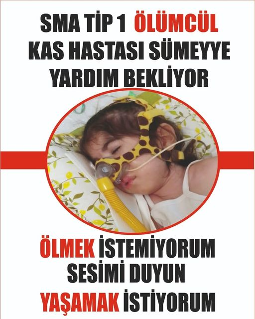 GonuleKopru's tweet photo. Ben Sümeyye sma Hastası 1 bebeğim abla abilerim çıkmayan sesim olur musunuz https://t.co/qHCfCdkVfe