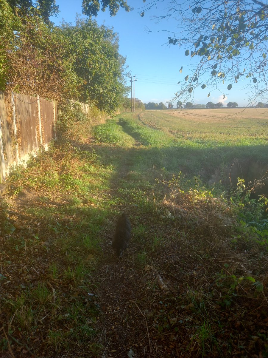 A mid week morning walk. No better place to reflect on our last performance. How do we improve and squad selection for Saturday.