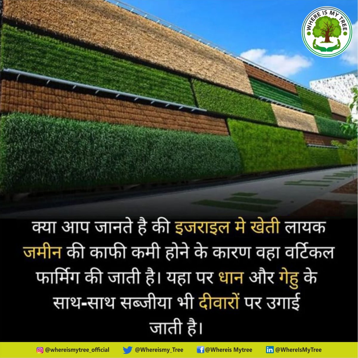 Whereismy_Tree's tweet photo. We support plantation and you people motivate us to plant more no matter the situation.
Get in touch with us @7011832567 to join hands and do it together
#wmt #whereismytree #plantation #plants #support #supportplantation #plantationcampaign #saveplanet #saveearth #planttree https://t.co/20nQLytY0y
