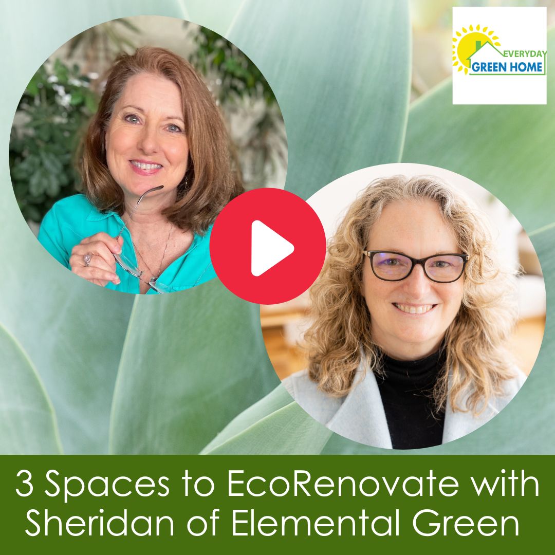I’m Marla, the Green Home Coach! I’m thrilled to have Sheridan Foster of Elemental Green  joining me today to talk about the cool eco-renovation project she and her team did in the historic Chicago building! Tune in to hear more of this story and more! greenhomecoach.libsyn.com/3-spaces-to-ec…