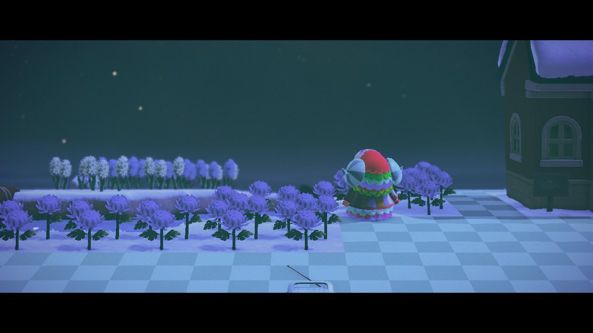 __miloco__'s tweet photo. #どうぶつの森 #AnimalCrossing #ACNH #NintendoSwitch https://t.co/v3Rx6rPJPz