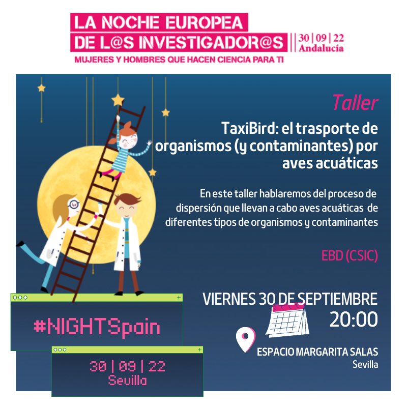 -Viernes 30 de septiembre, Plaza Nueva, #Sevilla. Allí os esperamos 🌱🦆 #NightSpain #TaxiBird @CSICdivulga @ebdonana