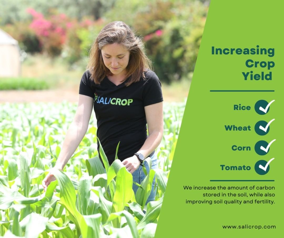 SaliCrop's tweet photo. Optimizing Crop Yield Under Climatic Stress Conditions.
.
.
#SaliCrop
#salineconditions #climateconditions #agricultureandfarming #climate #stress #optimizingcrops #cropyield https://t.co/CclkluNSXG