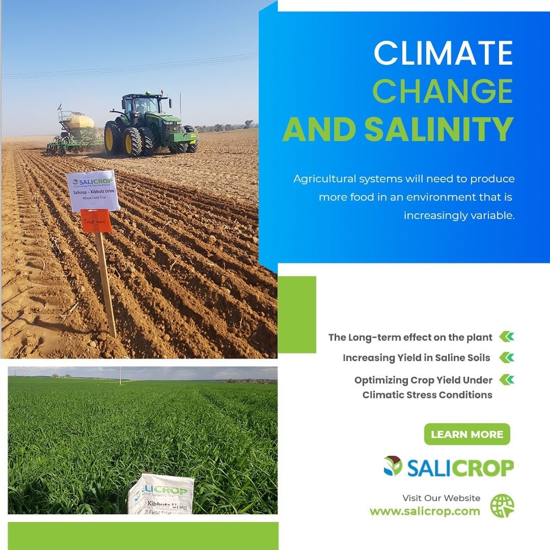 SaliCrop's tweet photo. #Stresses are incurred on #plants as a result of changes in the #climatic conditions of the #environment, which has been concluded to be the most influencing factor affecting #agricultural production.
#salicrop #agriculture #soilsalinization #organicfarming #climatemitigation https://t.co/a9hUu3k2BU