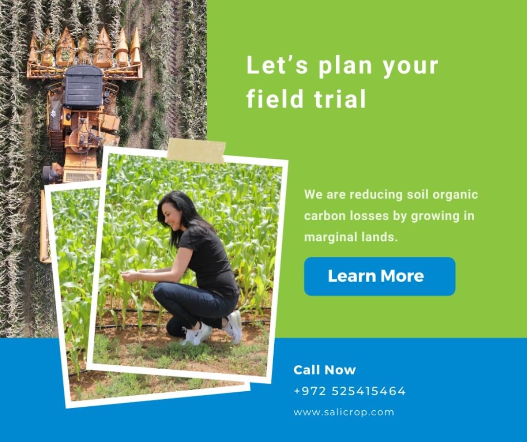 SaliCrop's tweet photo. #farmers are striving to #increase our #yield under stress conditions.

At #Salicrop we developed a break-through seed enhancement process using a unique wet chemistry #process that stimulates an epigenetic reaction to saline conditions at seed stages; it is a non-#GMO treatment. https://t.co/BCQe2ylRzh