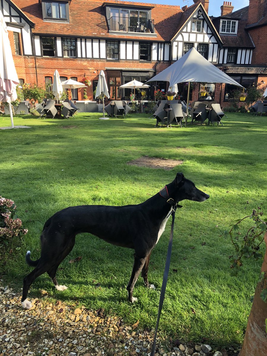 Mark Burridge tweet media