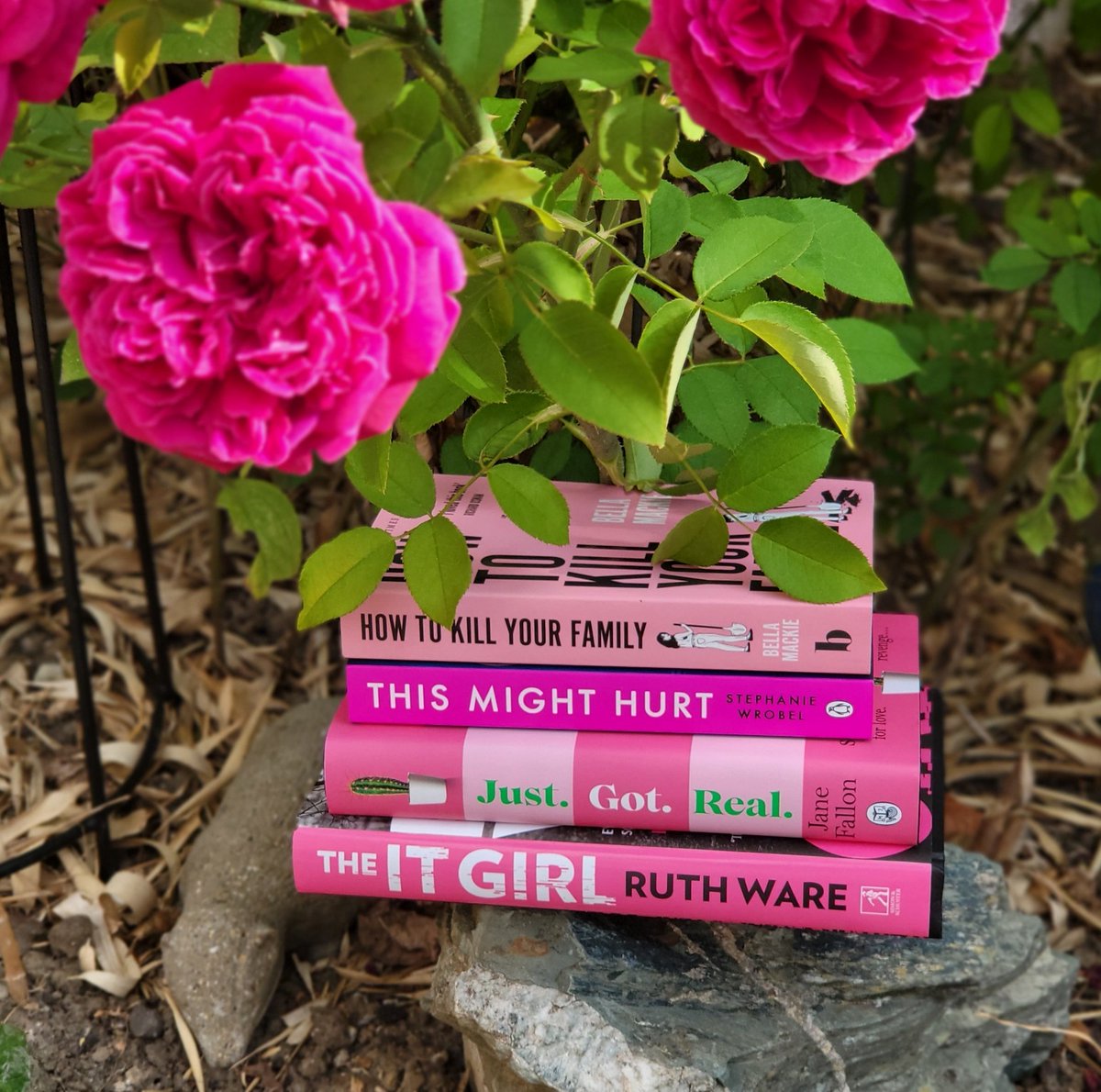 calmstitchread's tweet photo. I love a pink stack ,I've read It Girl and loved it, can't wait to read the rest. #pinkbookstack #onwednesdaywereadpink #bookstack https://t.co/WM1lJ0DcIT