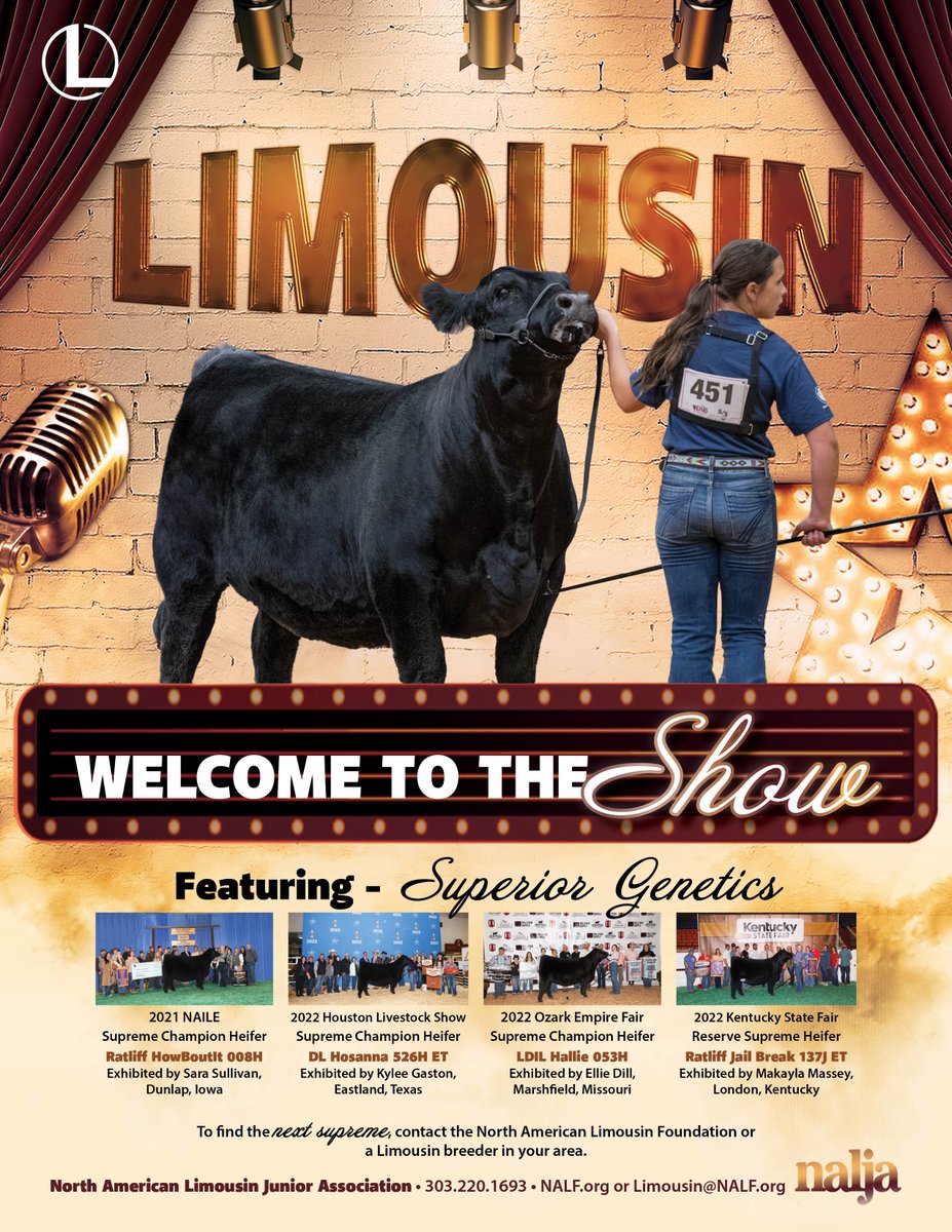 Looking for a show heifer? Limousin has you covered...don't miss out on all the upcoming sales! #limousinproud 

Sales and events: nalf.org/sales/sales-ev….
