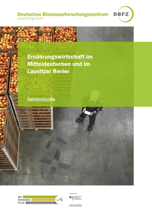 Die Ernährungswirtschaft spielt in der #Bioökonomie eine bedeutende Rolle. Wo sind Innovationspotenziale bei der Verarbeitung von Fleisch, Obst, Gemüse oder Milch in #Mitteldeutschland &amp; #Lausitz zu finden? @DBFZ_de 🍓🍞🐷
➡️dbfz.de/biooekonomieat…