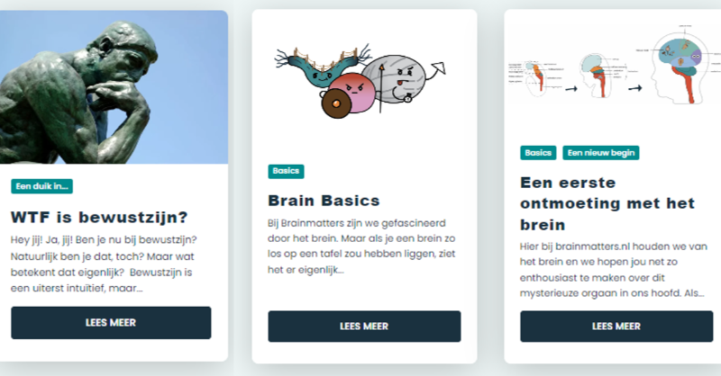 BrainMatters_NL's tweet photo. 🧠 Our goal is to make learning about the brain fun for everyone! Therefore we write both articles for beginners and more challenging articles. You can find them on our article page with these labels: "Brain Basics"  &amp; "Deep dive" 

in NL &amp; ENG