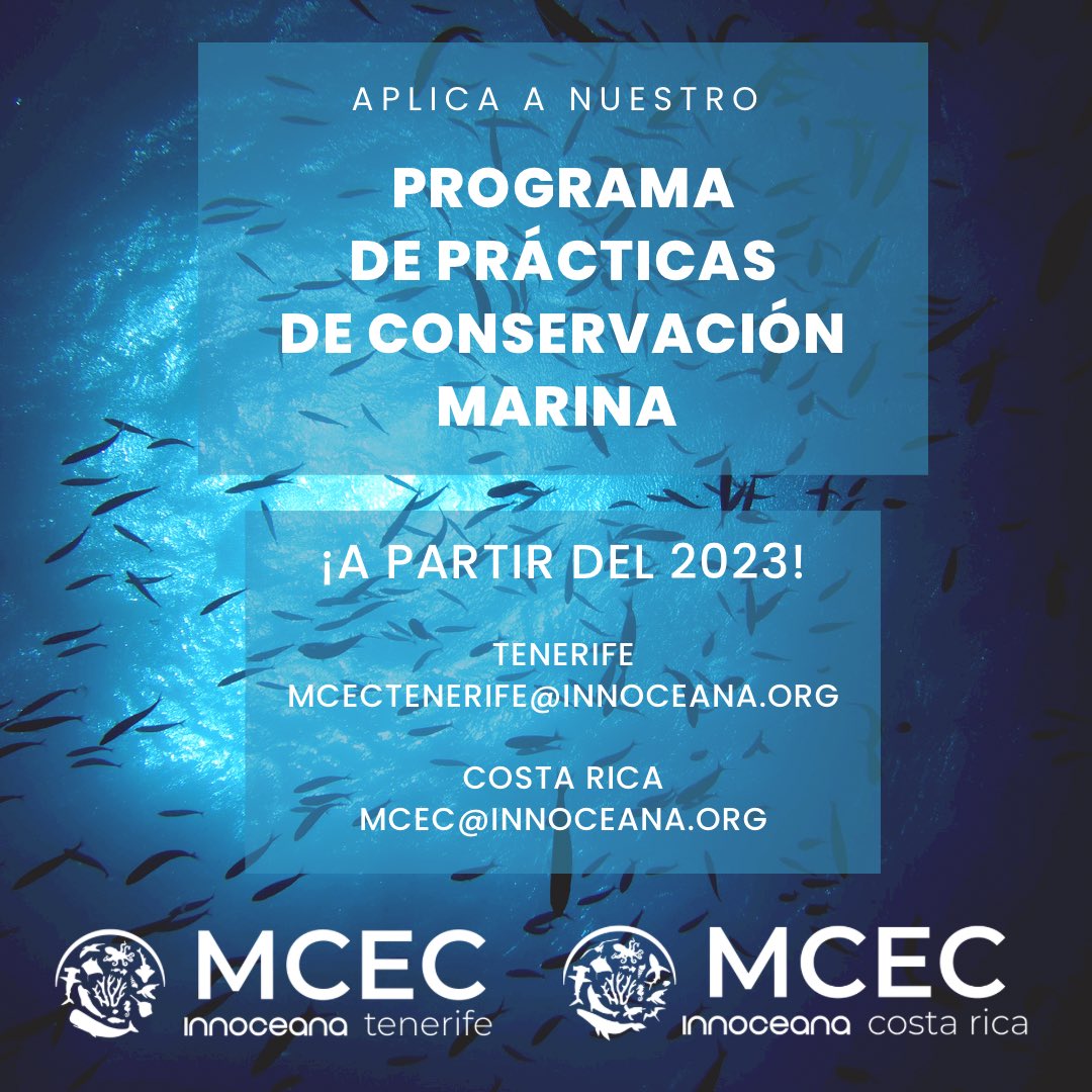 InnoceanaOrg's tweet photo. 🧜🏽 Are you looking for your marine conservation internship for next year? Search no more!

📩 Write an email to the MCEC that interests you the most to get further information and confirm availability. #internship #marineconservation #joinourteam #tenerife #costarica https://t.co/HdLnpDV4ju