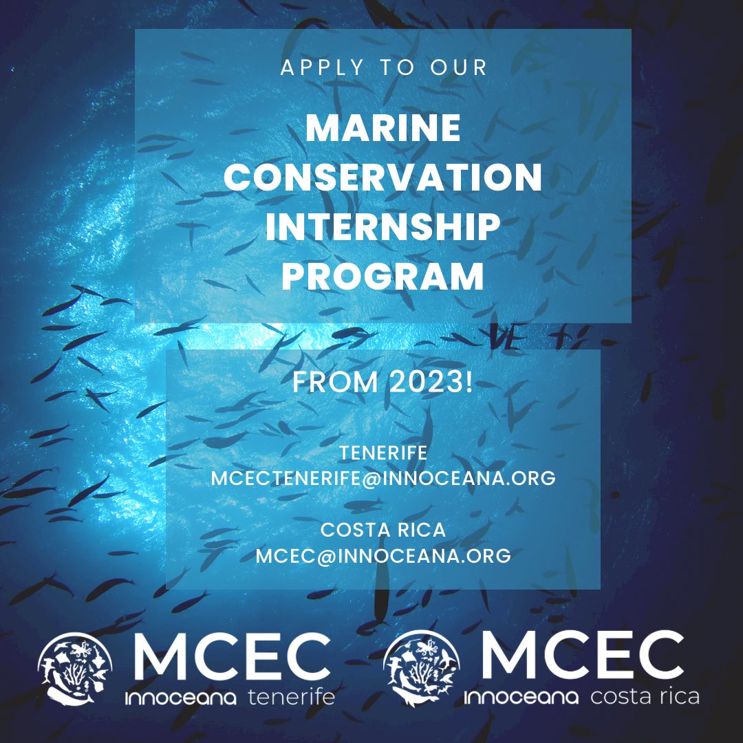 🧜🏽 Are you looking for your marine conservation internship for next year? Search no more! 📩 Write an email to the MCEC that interests you the most to get further information and confirm availability. #internship #marineconservation #joinourteam #tenerife #costarica