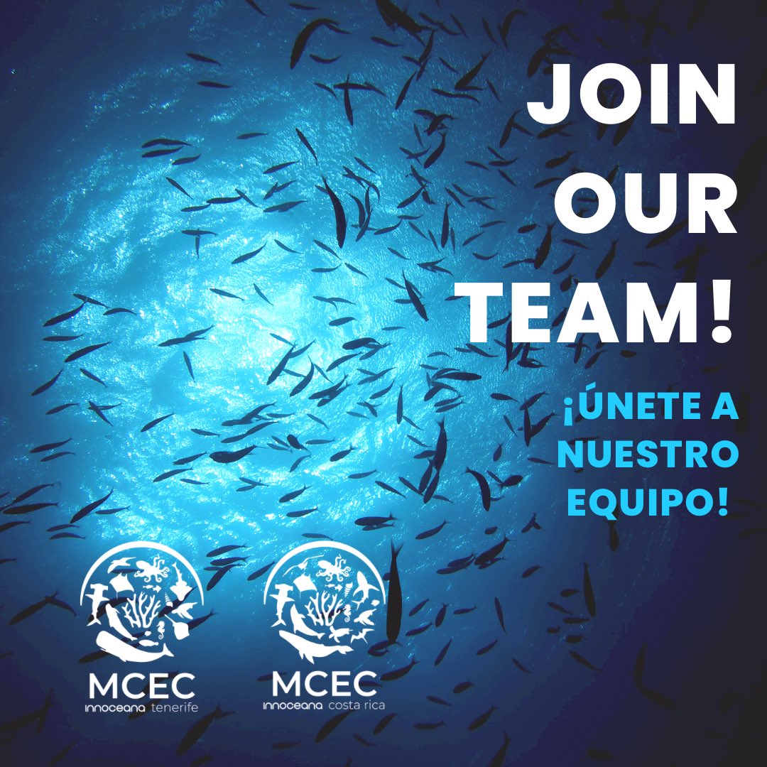InnoceanaOrg's tweet photo. 🧜🏽 Are you looking for your marine conservation internship for next year? Search no more!

📩 Write an email to the MCEC that interests you the most to get further information and confirm availability. #internship #marineconservation #joinourteam #tenerife #costarica https://t.co/HdLnpDV4ju