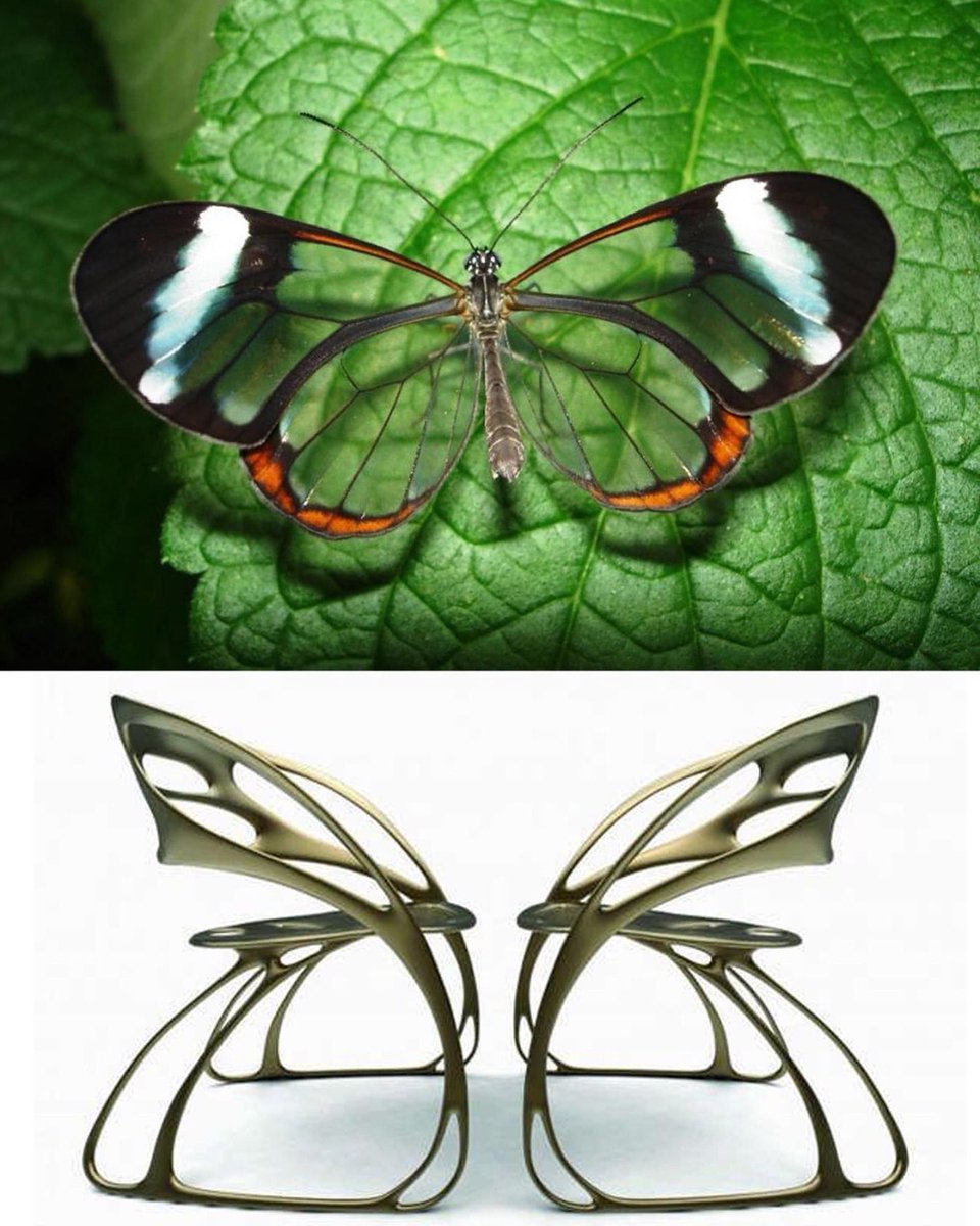 Creative Furniture Design Monarch Chair by Santo Eduardo Garcia funnyness.com/creative-furni… #furnituredesign