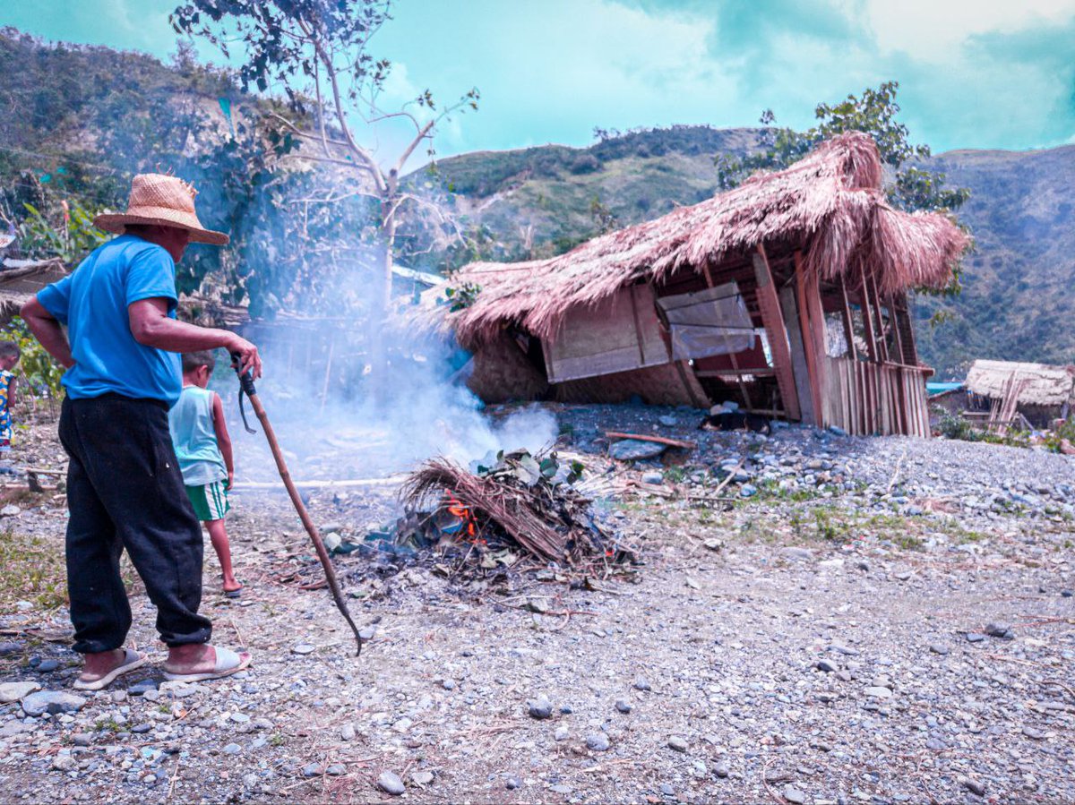 Greenpeace International tweet media