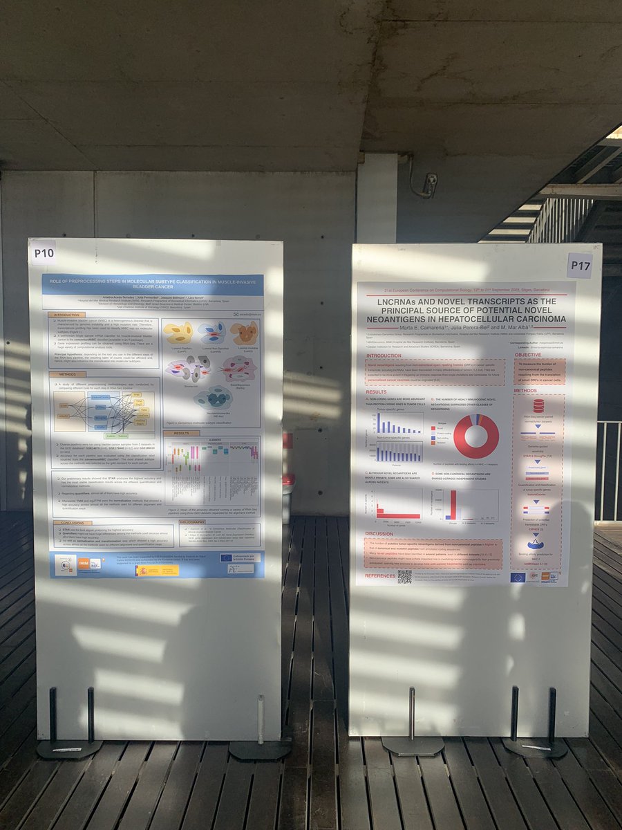AriadnaATerrades (@aaterrades) on Twitter photo Do you wanna discuss about RNAseq benchmarking in MIBC classification or potential novel neoantigens? You can find us at WiDS! <a href="/martaecamarena/">Marta Espinosa</a> #WiDS2022 #PRBB #Datascience #Bioinformatics Do you wanna discuss about RNAseq benchmarking in MIBC classification or potential novel neoantigens? You can find us at WiDS! <a href="/martaecamarena/">Marta Espinosa</a> #WiDS2022 #PRBB #Datascience #Bioinformatics