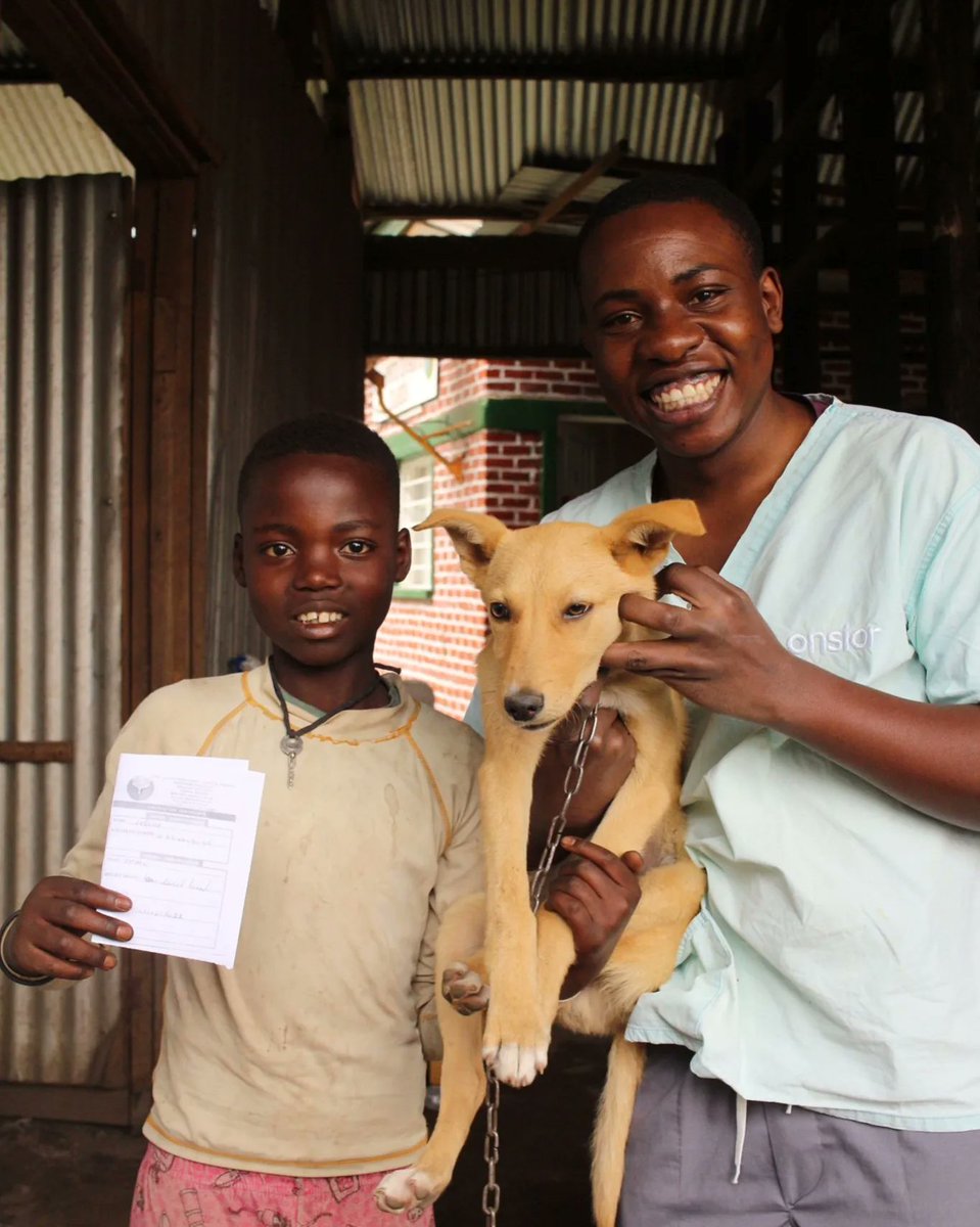 VisionRwanda's tweet photo. Happy World Rabies Day💉

NVVH  provided free Rabies Vaccination and vaccinated around 640 dogs and provided so safety for humans, pets and wildlife. Also we are working together with @rwandaagriboard to vaccinate as many dogs as possible. For a safe future!

#WorldRabiesDay2022 https://t.co/ess2IyAgo0