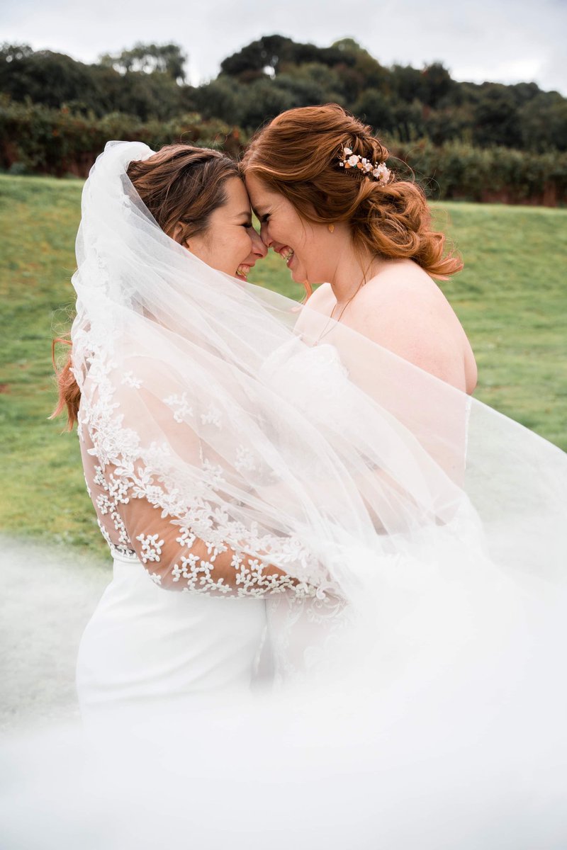 Cat🏳️🌈 tweet media