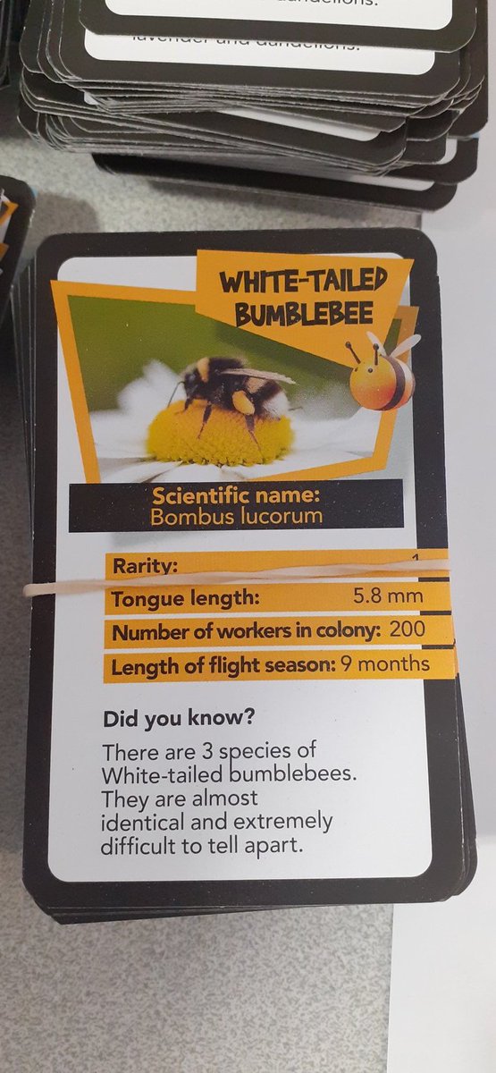 pipsy80's tweet photo. Oooooh super excited to see what this is all about 🤩🐝
@beekeepingkids
#chartwells #schoolmeals #bee #schoolcook #countydurham https://t.co/w0yDEzhD5D