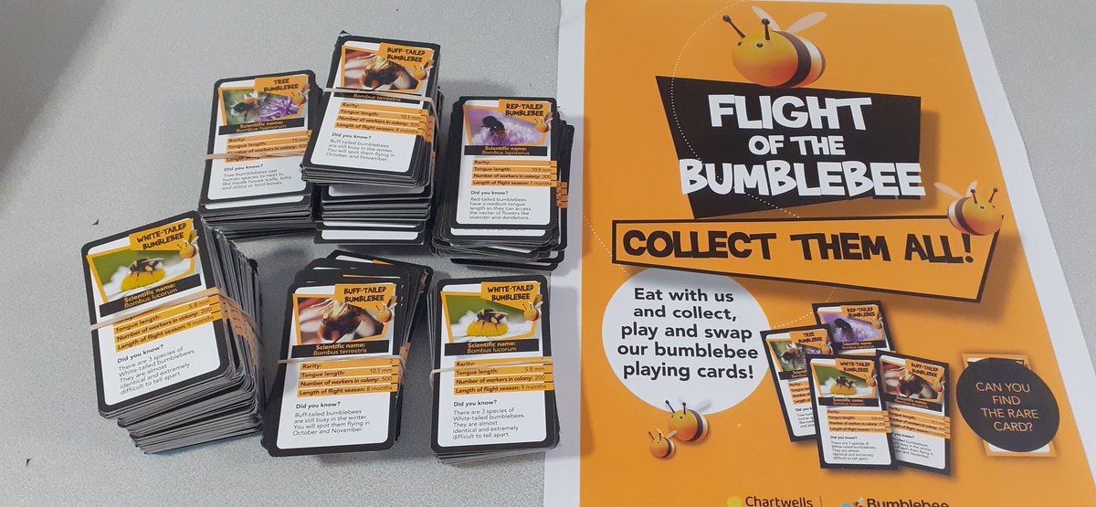 pipsy80's tweet photo. Oooooh super excited to see what this is all about 🤩🐝
@beekeepingkids
#chartwells #schoolmeals #bee #schoolcook #countydurham https://t.co/w0yDEzhD5D