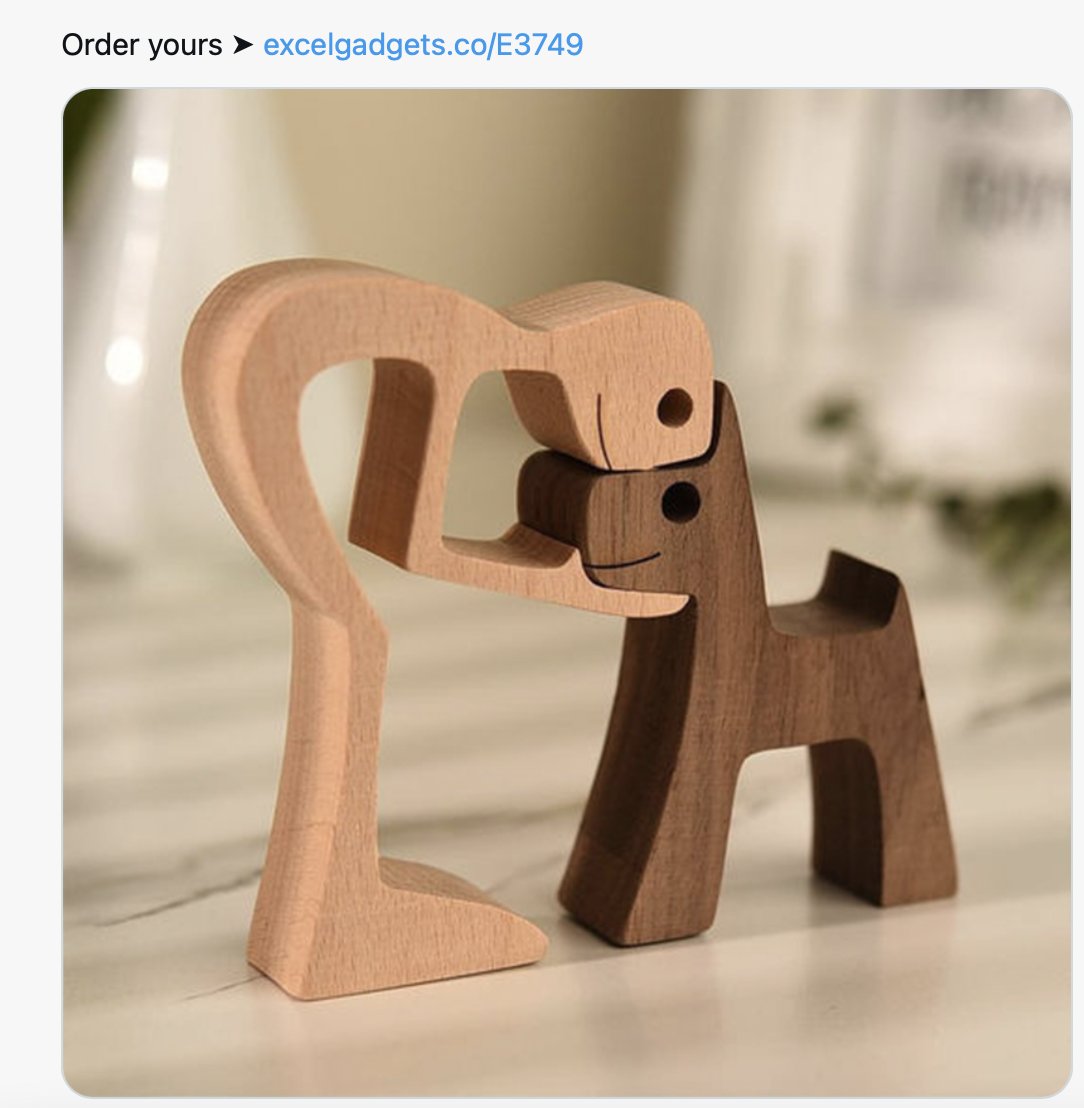 Esteu pensant a tenir un gos? Dones, penseu- hi una altra vegada. Viuen més 10 anys .