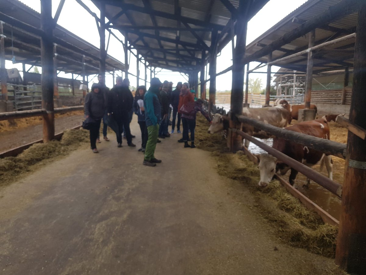 BExplo_de's tweet photo. Eindrücke vom #BEO-#Bexis-LMT Treffen in #Heyerode!
Leider sehr verregnet! https://t.co/xqzlE81vsJ