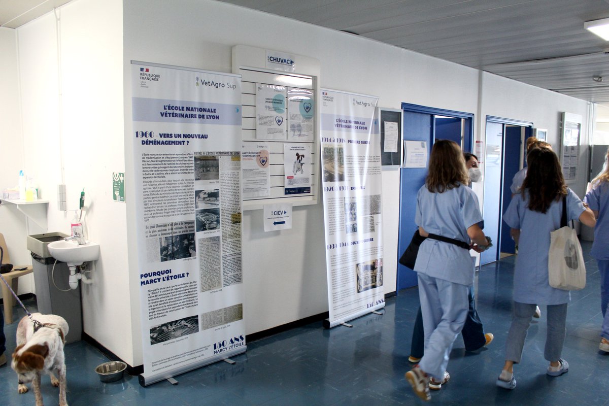 VetAgroSup's tweet photo. #Événement 📖 🧐 Retracez l'histoire de la première école vétérinaire au monde à travers ses sites géographiques, de sa création en 1761 à aujourd'hui !
Pour fêter les 150 ans de Marcy l'Étoile, VetAgro Sup vous propose une exposition inédite sur l'#ENVL au sein de son #CHUV. https://t.co/eBPMmISFZU