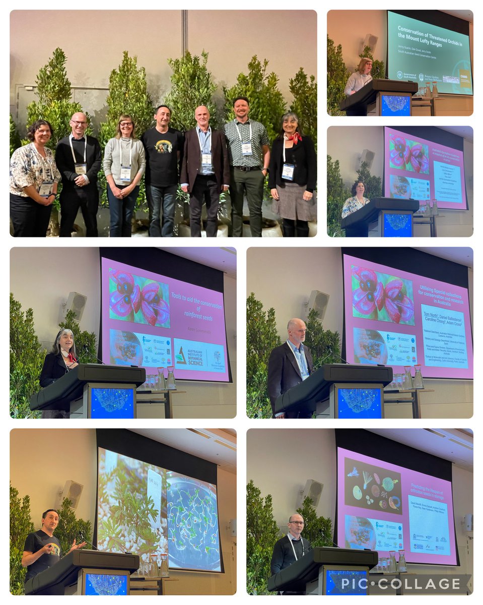Was so great to be involved with the #GermplasmConservationSymposium at #7GBGC with ⁦@ANPlantC⁩ ⁦#Partnerships get your copy of the #GermplasmGuidelines anpc.asn.au/germplasm-guid…