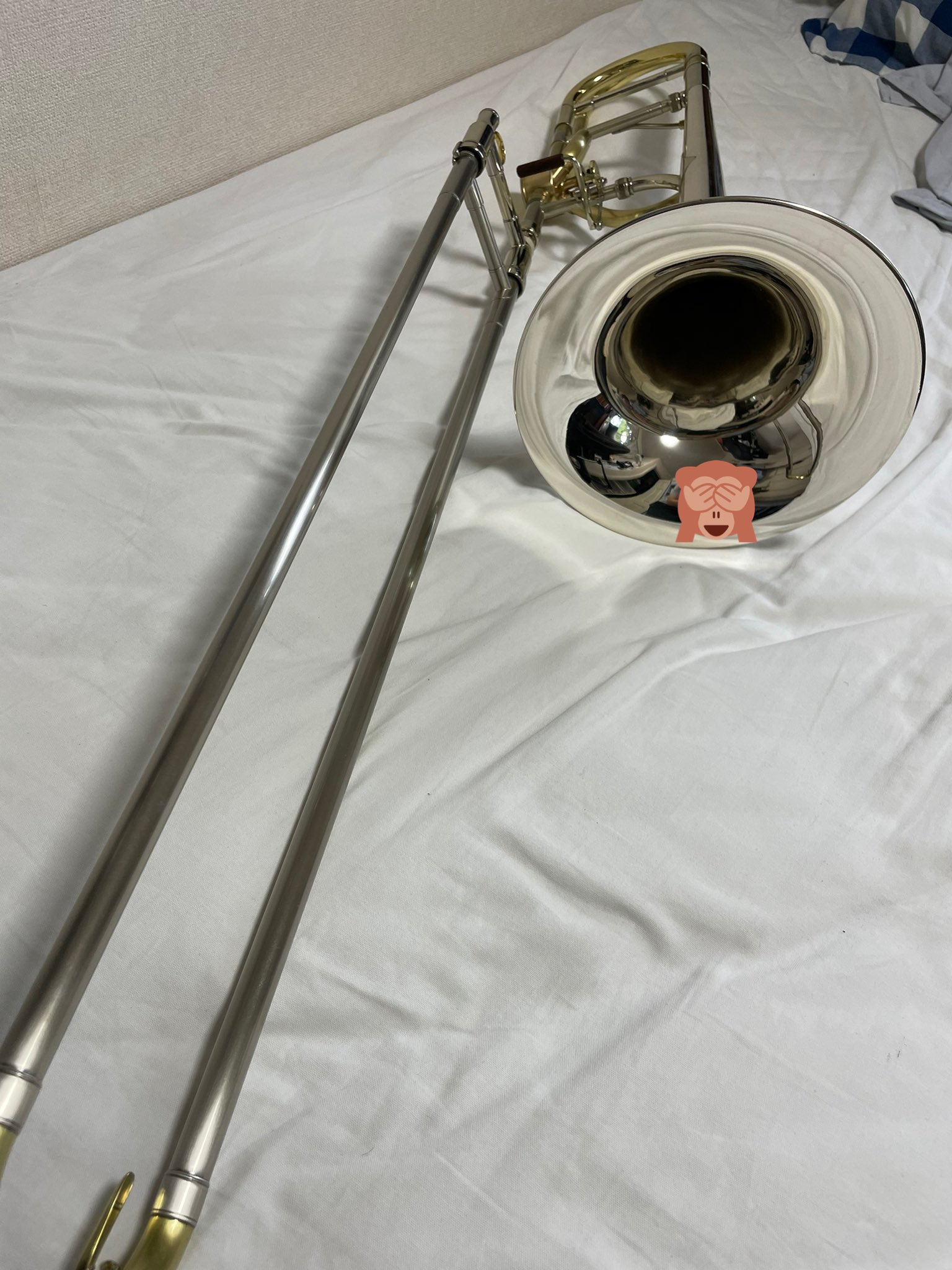 EDWARDS バストロンボーン主管 Rose Thin Brace