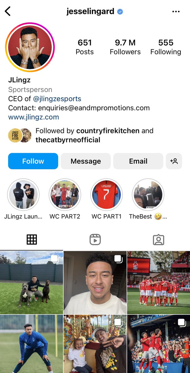 ThatVetSean's tweet photo. Another day, another shallow celeb parading mutilated dogs on social media for klout, to make himself look hard. What gives @JesseLingard? And do you think this is a good look for your player @NFFC @EnglandFootball ? A cosmetic mutilation illegal on animal cruelty grounds! Pls RT https://t.co/l8ddzzpXUU