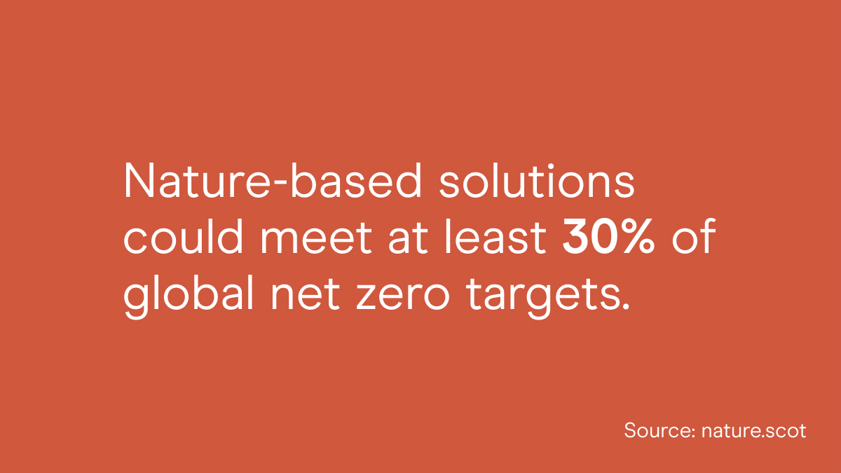 NatureScot tweet media